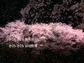 夜桜お七/坂本冬美 song by新二郎 写真編集:nobu