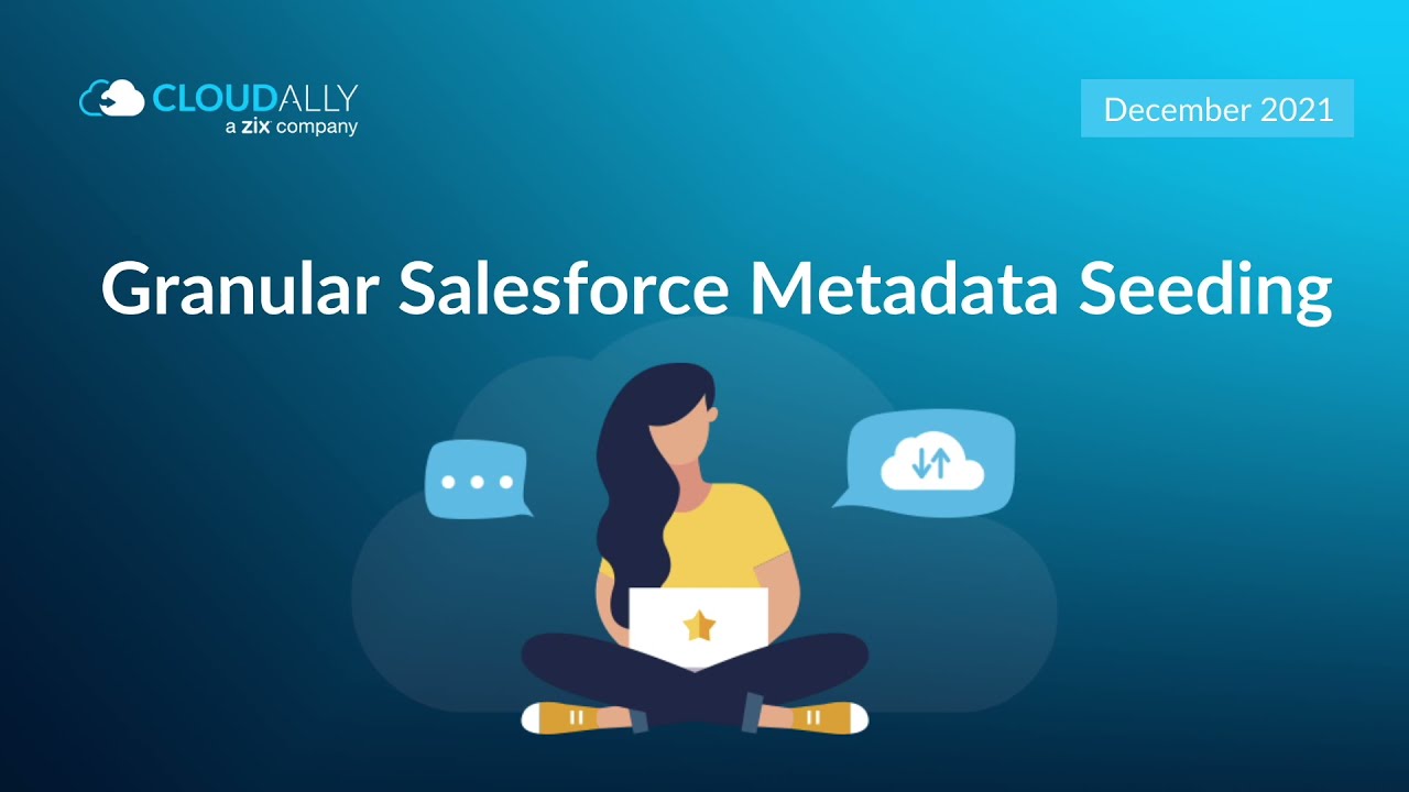 How to Seed Salesforce Metadata at the Granular Object Level?