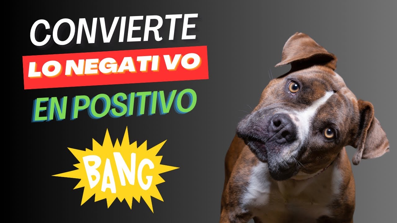 Aprovechando Los Instintos (para desensibilizar) YouTube