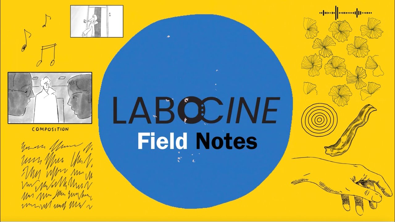 How to Add Field Notes to Your Film (Labocine Demo Video)