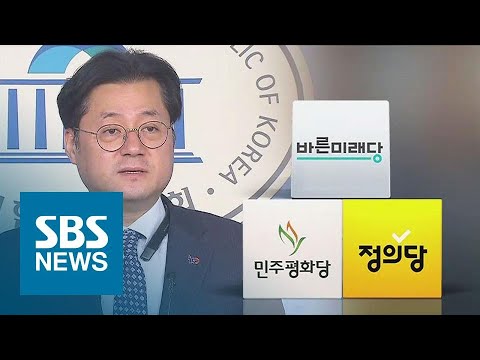 "영향력 없는 소수 정당" 홍익표 논란…소수 야당 발끈 / SBS