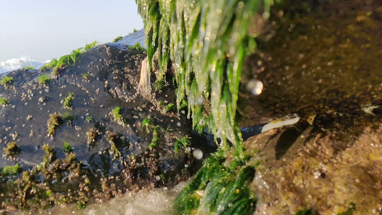 Rock Beach #eswaranisai #puducherry #seashore #rockbeach #waves #relax #slowmotion
