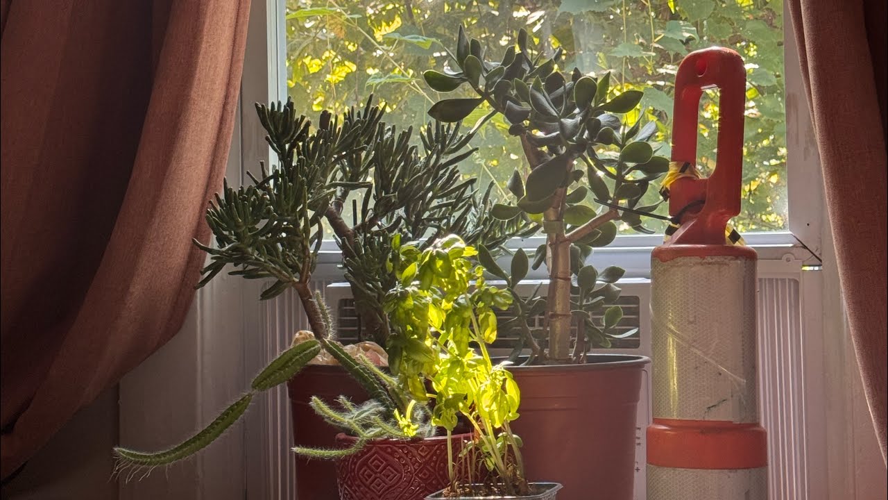 Take It With You - Cameron Winter Cover