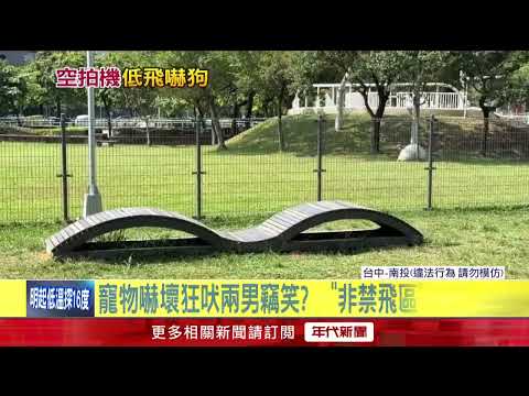 2 Men Fly Drone in Park; Dog Owners Accuse Them of "Malicious Low-Altitude Flying" to Scare Pets