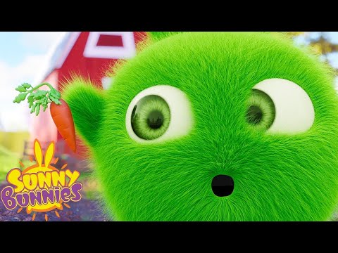 특별 당근 | Sunny Bunnies | 아이들을위한 만화 | WildBrain 한국어