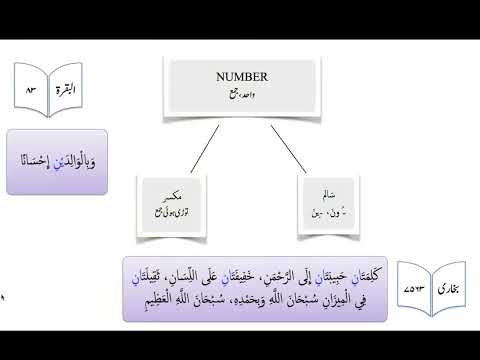 Arabic Grammar Revision 003 Number Contd