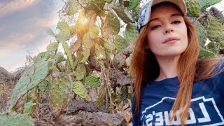 My duck made a nest! PLUS our families land in Mexico. Our FAMILY life VLOG in MEXICO