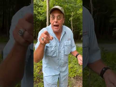 Video: Shagbark Ağaçları Ne İçin Kullanılır - Shagbark Hickory Ağaçları Dikme İpuçları