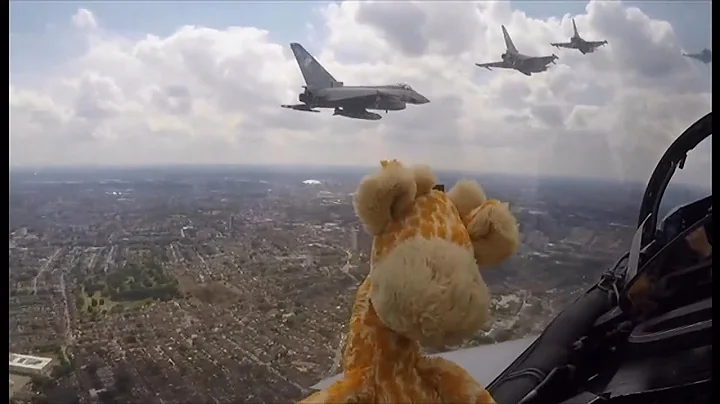 Geoffrey the Giraffe: Pilots' tribute in memory of...