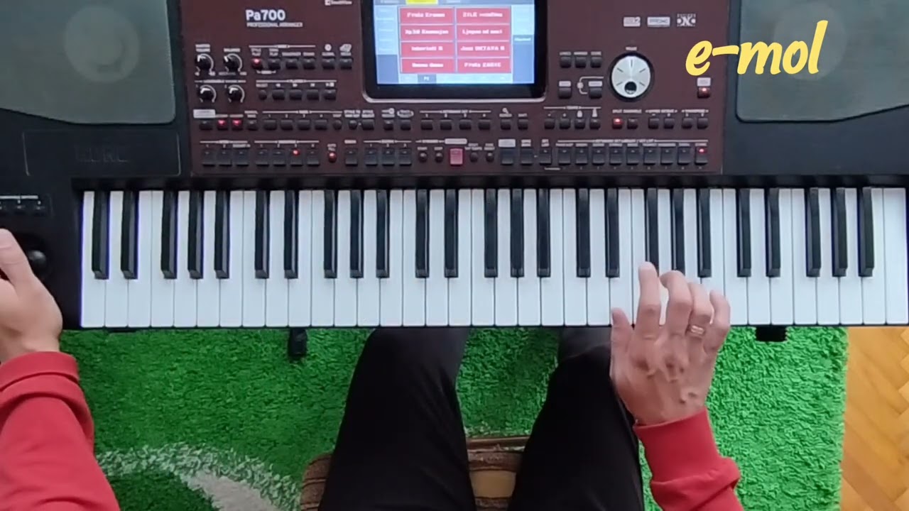 Tutorijal - Slike mog života / Verica Šerifović