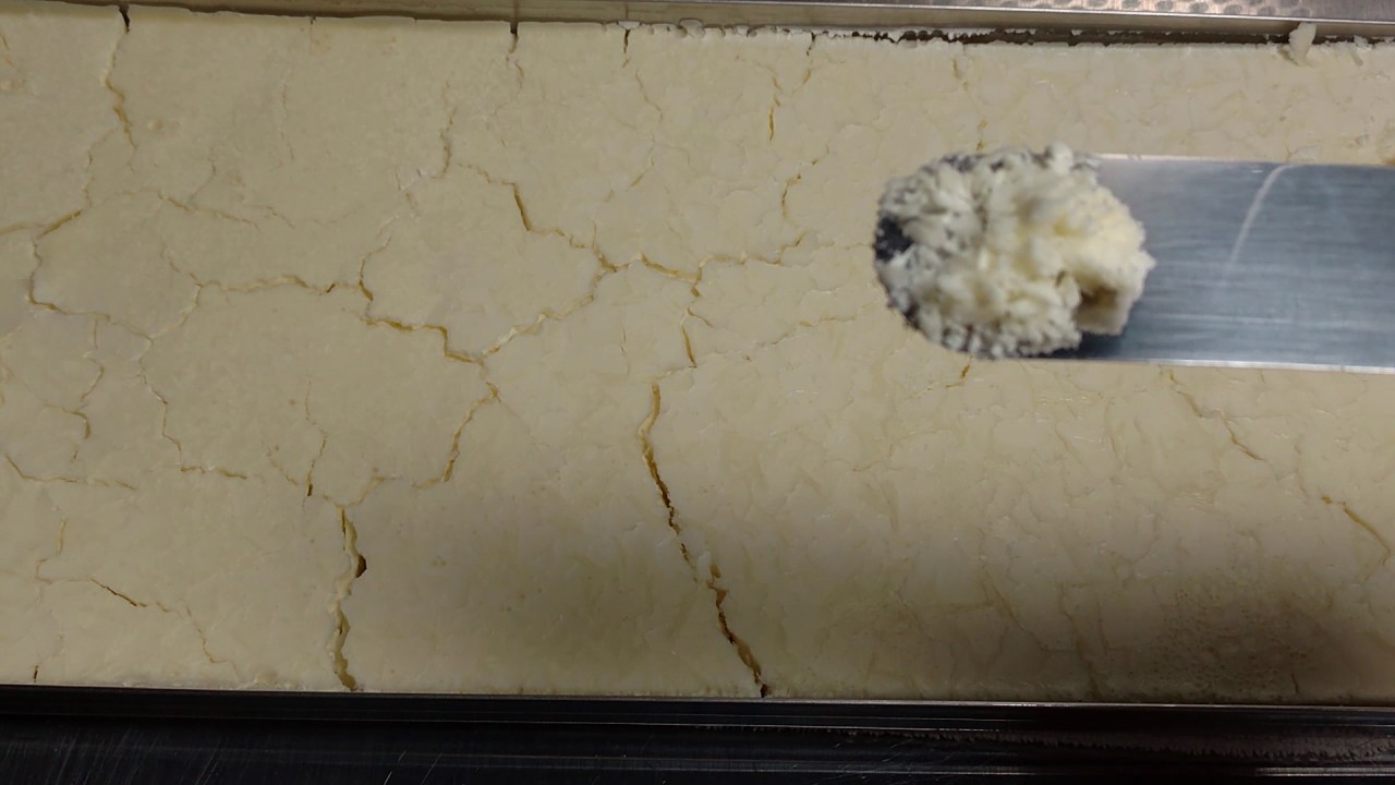 Heavy Dairy Whipping Cream Freeze Dried in my Harvest Right Freeze