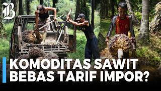 Download Lagu AS Turunkan Tarif Impor Produk Asal Indonesia Jadi 19% MP3