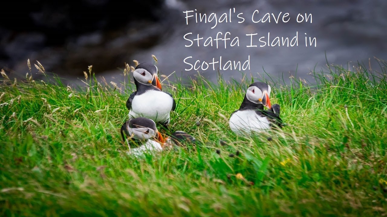 Fingal's Cave - Island of Staffa | How To Get There And What To Expect