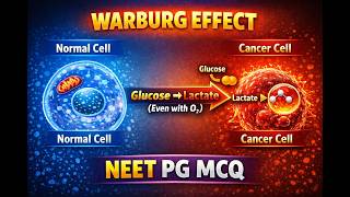 Warburg Effect Explained | NEET PG Biochemistry MCQ Solved | Aerobic Glycolysis in Cancer Cells