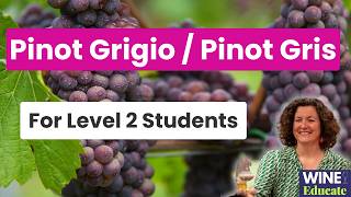 Pinot Grigio vs Pinot Gris - Why the Same Grape Tastes So Different | Level 2 Students