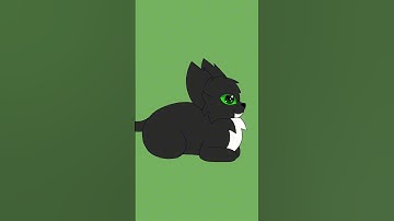 #maxwell #cat #greene #flipaclip #happy #2d #3d #animation #jokes #music #draw #drawing #memes #meme