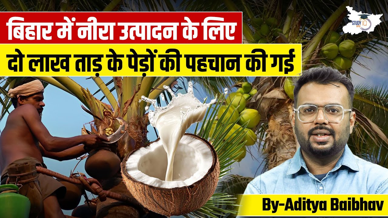 Major Step for Neera Production: Bihar to Utilize 2 Lakh Palm Trees | By Aditya Sir