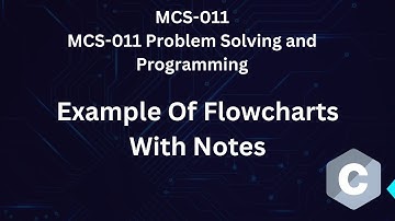 MCS-11 Example of Flow Chart | Explained With Notes