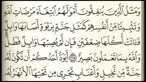 الصفحة 45 فارس عباد سورة البقرة وصف الفيديو