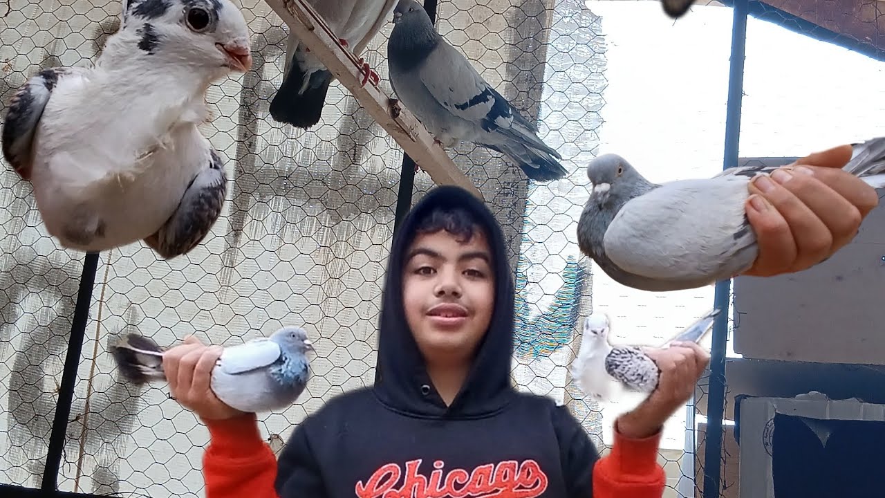 وأخيرا شريت 4 أنواع ديال الحمام مفضلين✨️