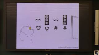 [MIND 2018] Carolyn Parkinson: The Brain in the Social World