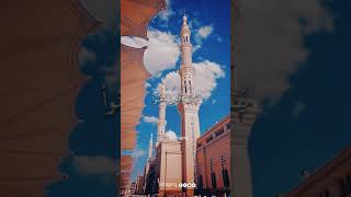 إن الله وملائكته يصلون على النبي يا أيها الذين آمنوا صلوا عليه وسلموا تسليما (سوره الأحزاب)