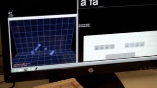 Preliminary Introduction to Typing with the LEAP
