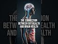 How psychobiotics stop burnout #GutHealth #BrainHealth #Wellness