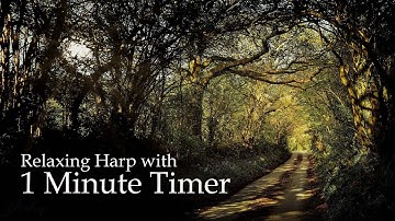 1 Minute Timer for Reiki and Yin Yoga with Peaceful Harp and Cello Music