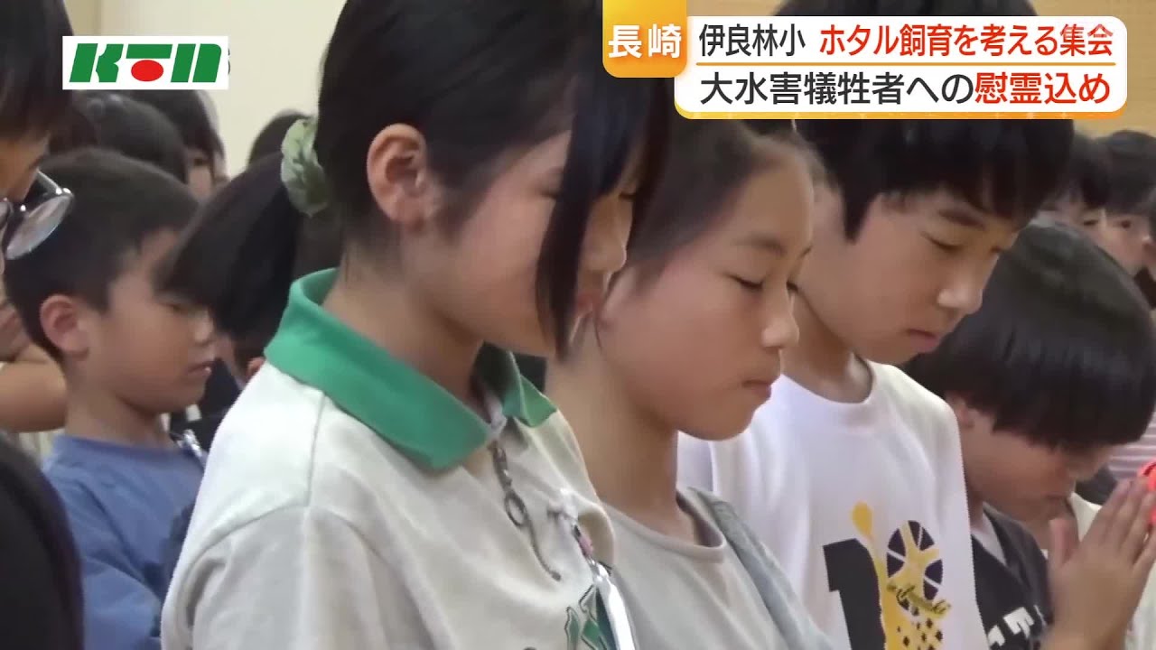 Elementary School in Nagasaki Continues Firefly Conservation in
