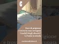 Esce di prigione e trova la casa occupata. I mobili degli abusivi? Li butta in strada