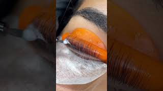 VEGAN LASH LAMINATION ⁠