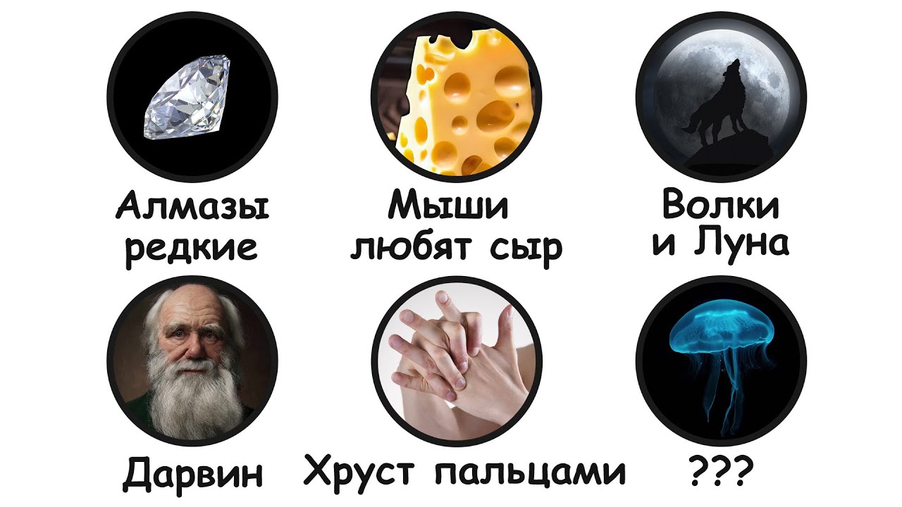 Ложные факты, в которые все верят