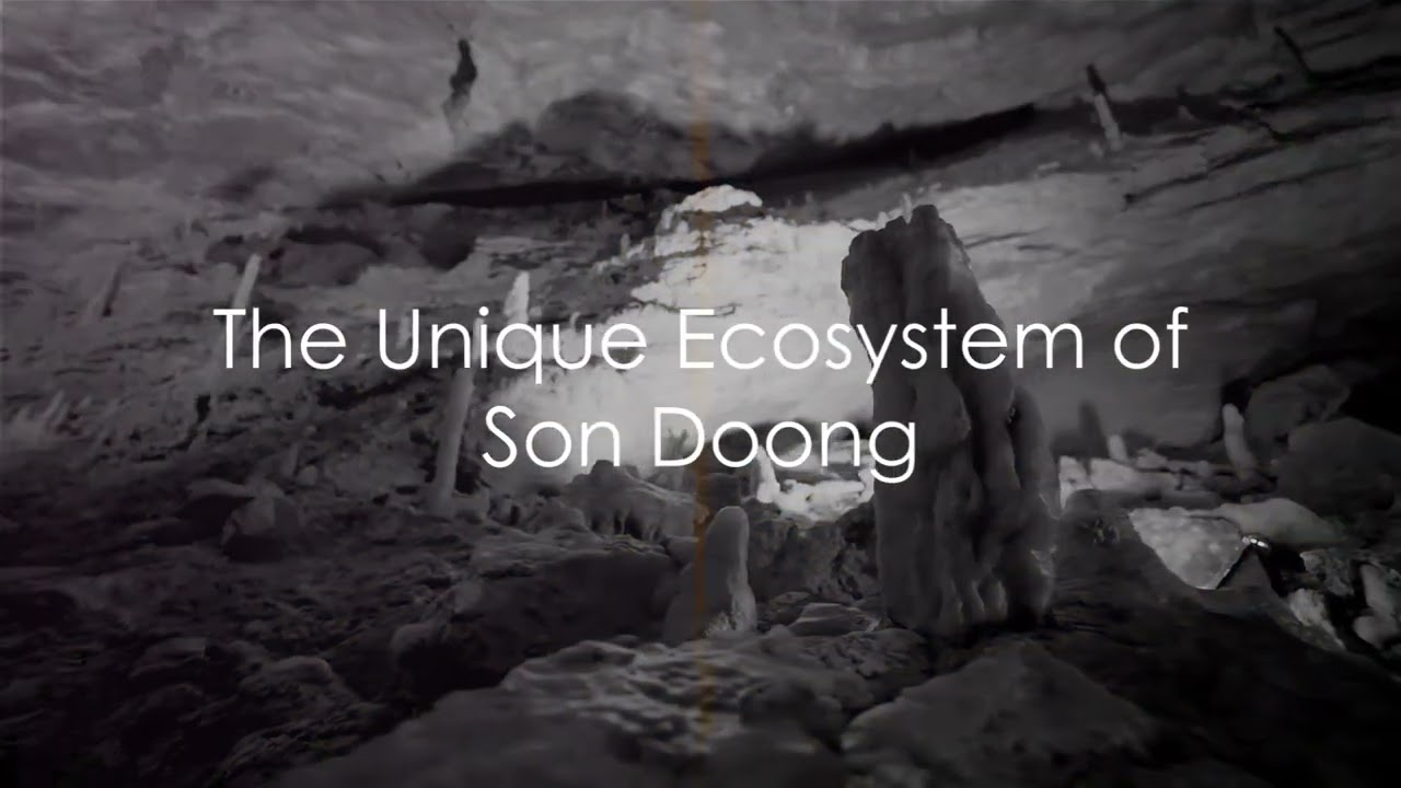 SON DOONG cave in Quảng Bình Vietnam