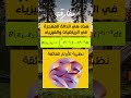 اهم دالة في الفيزياء والرياضيات والتي وصفت القوة النووية ونظرية الاوتار رياضيات فيزياء تحفيز