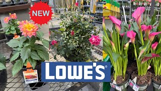 LOWES BEST NEW PLANTS ARRIVALS FOR SPRING | HOW TO MAKE YOUR GARDEN BEAUTIFUL?