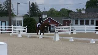 Pam & Riot ~ Dunmovin at Devon 8-25-2023 "USEF Training Level, Test 2 2023"