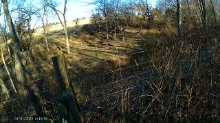 Squirrel Hunting With My Dad