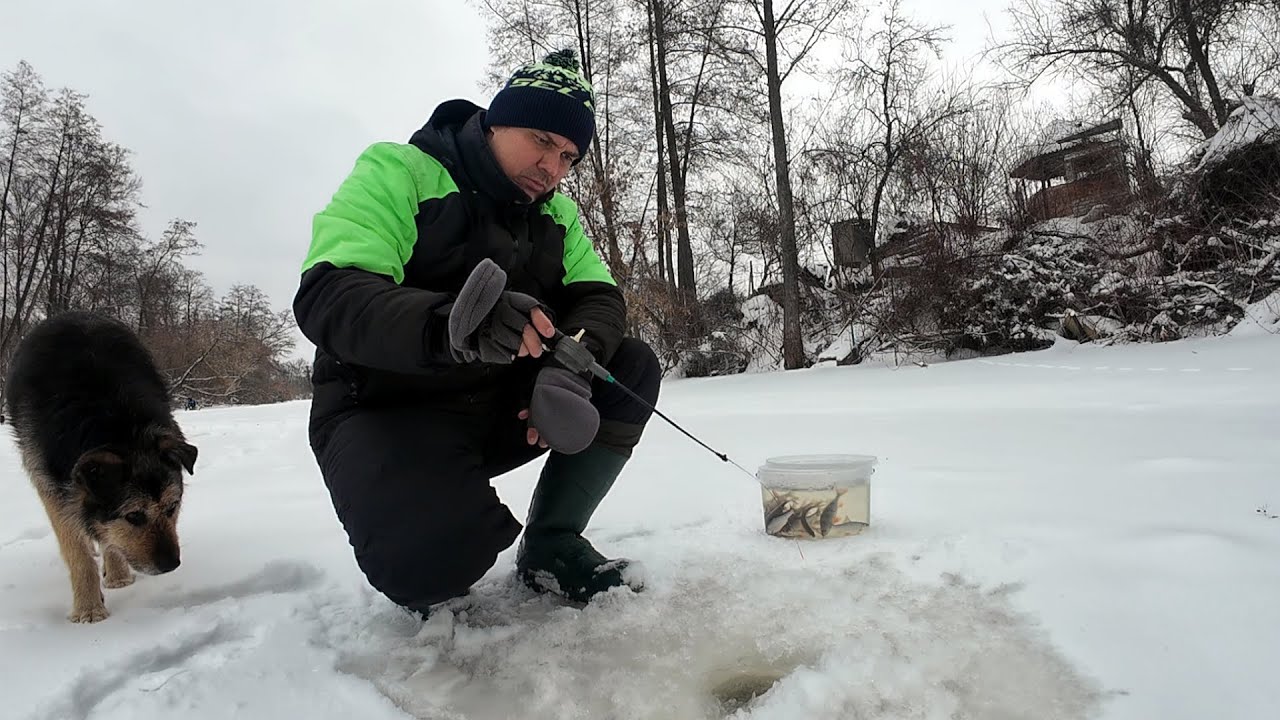✅Плотва на БЕЗМОТИЛКУ у лютому 2026!💥 ЩУКА точно буде довольна)!🎣