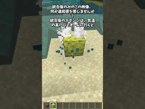 スポンジの秘密 #shorts  #マインクラフト #minecraft