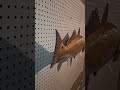 Redfish Taxidermy Alternative Wall Mount #fish #fishing