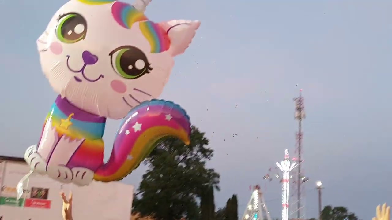 Mig Święto Truskawki  2022