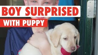 Parents Surprise Kids With a Puppy!