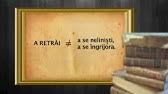 Apa