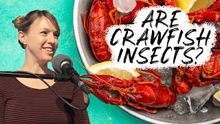 Are Crawfish Considered Bugs? Bug Expert Erin Mills