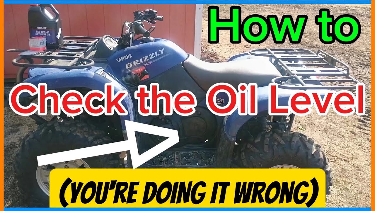 Grizzly 660 Oil Capacity