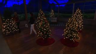 Bethlehem Lights Noble Spruce Tree w/ Swift Lock & Multi-Functions on QVC