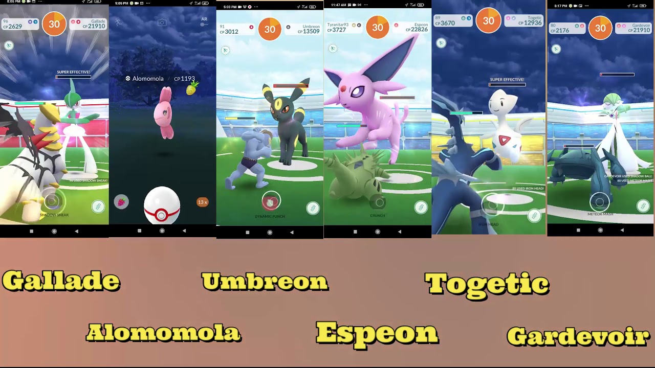 SOLOING ALL LEVEL 3 (GALLADE, GARDEVOIR, ALOMOMOLA, TOGETIC, ESPEON, UMBREON)