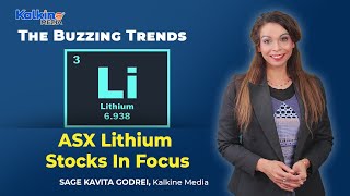 Which ASX Lithium Stocks Has The Highest Market Cap