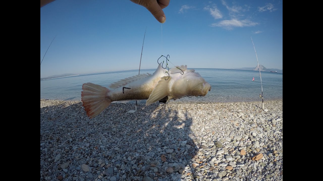 [P.S]ΩΡΑΙΑ ΠΡΩΙΝΑ ΨΑΡΕΜΑΤΑ [VIDEO 727]